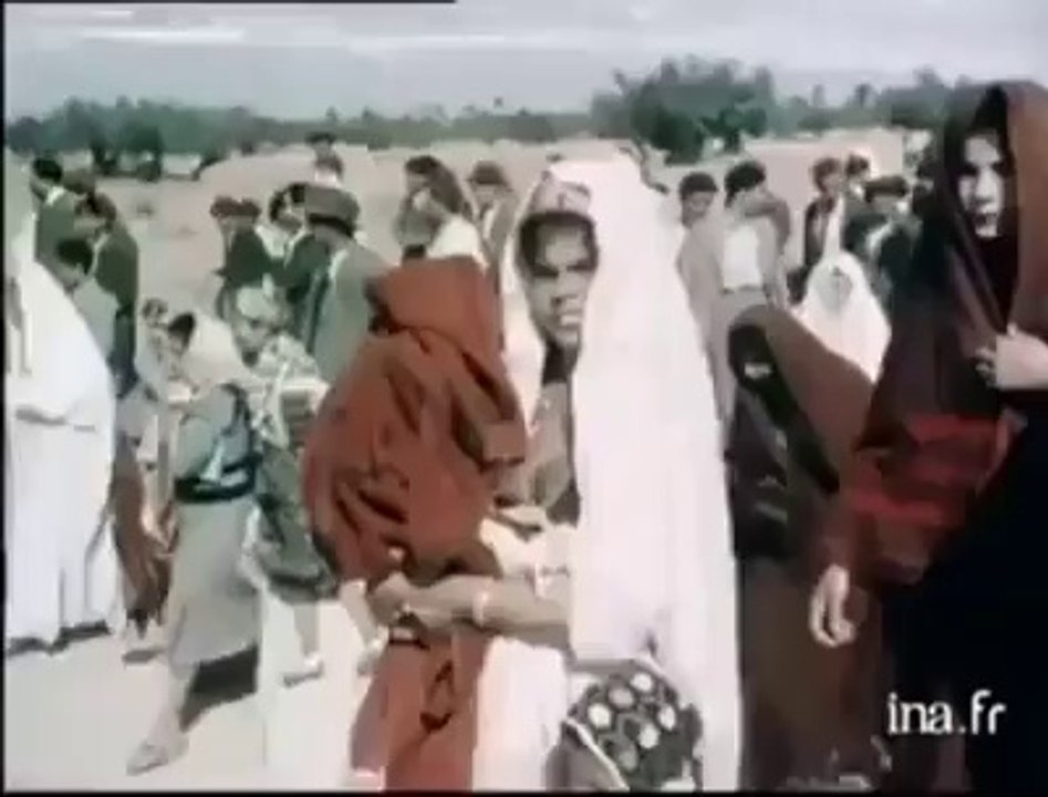 יהדות תוניסיה ג'רבה 1952