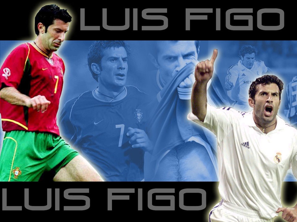 FIGO - BEST SHOW
