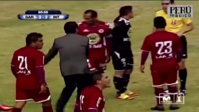 Manager sent off for fouling a player