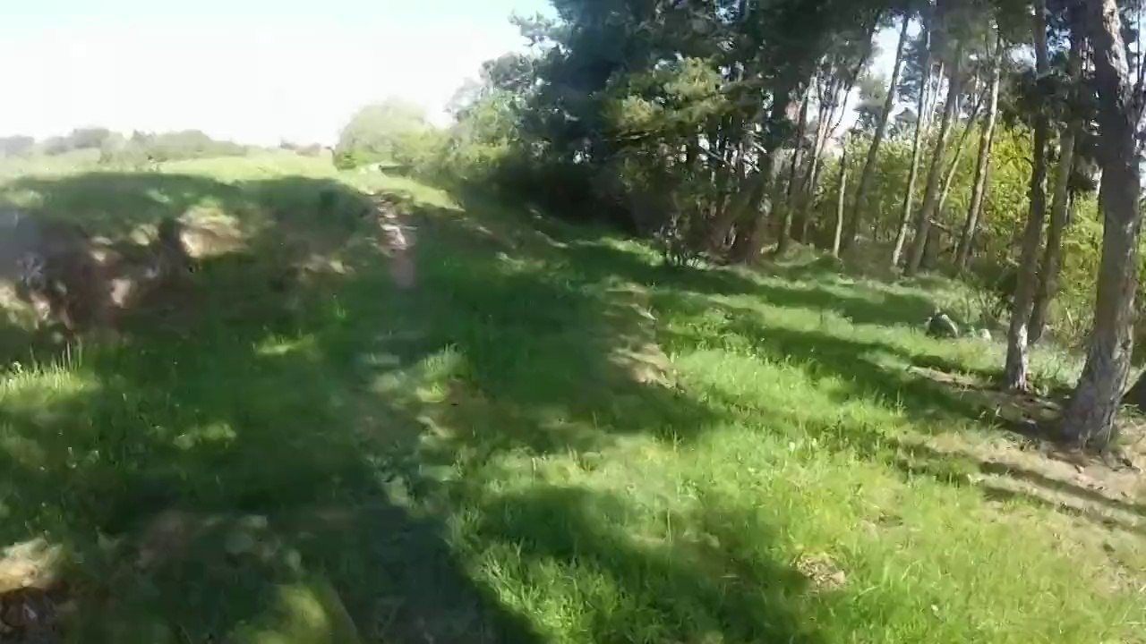 trail de randol 2014