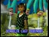 BERTELUR LAGI nidi putri @ lagu anak anak