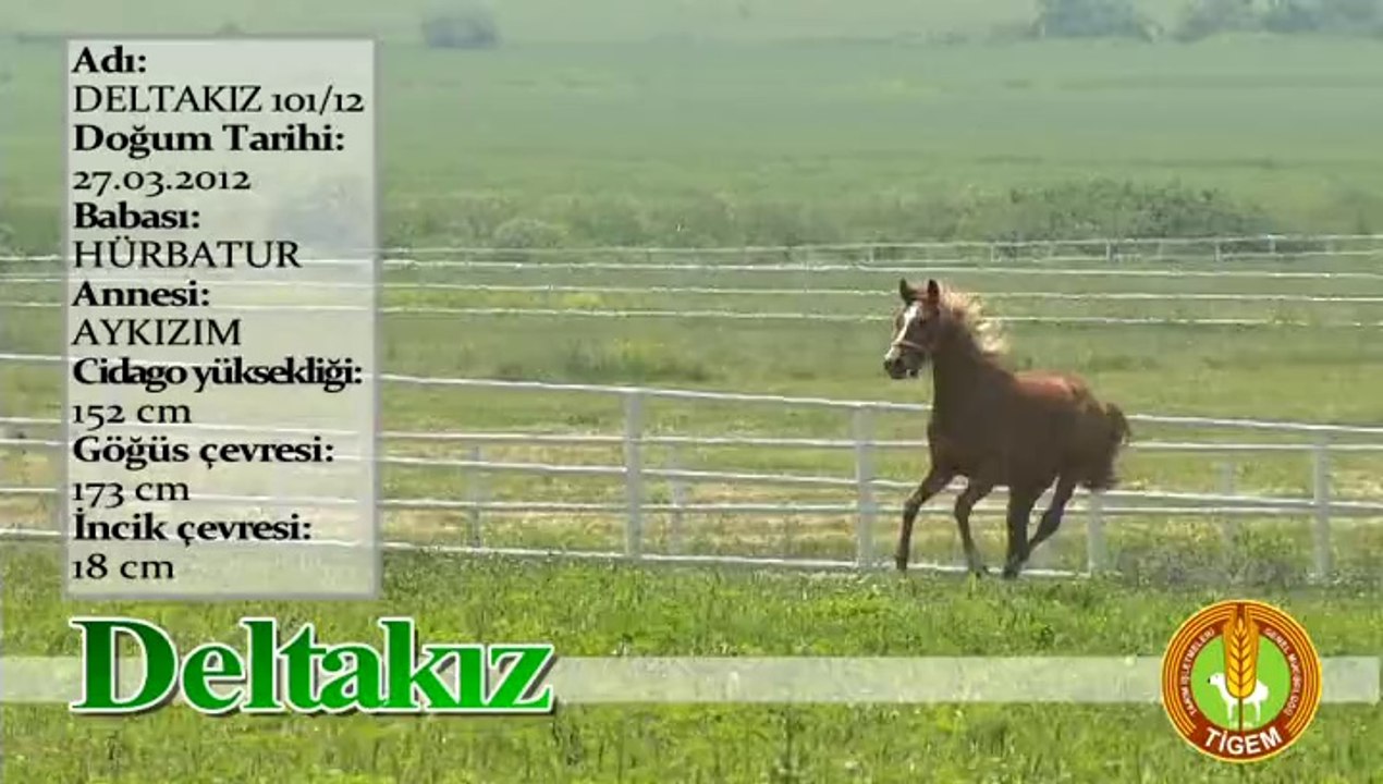 DELTAKIZ