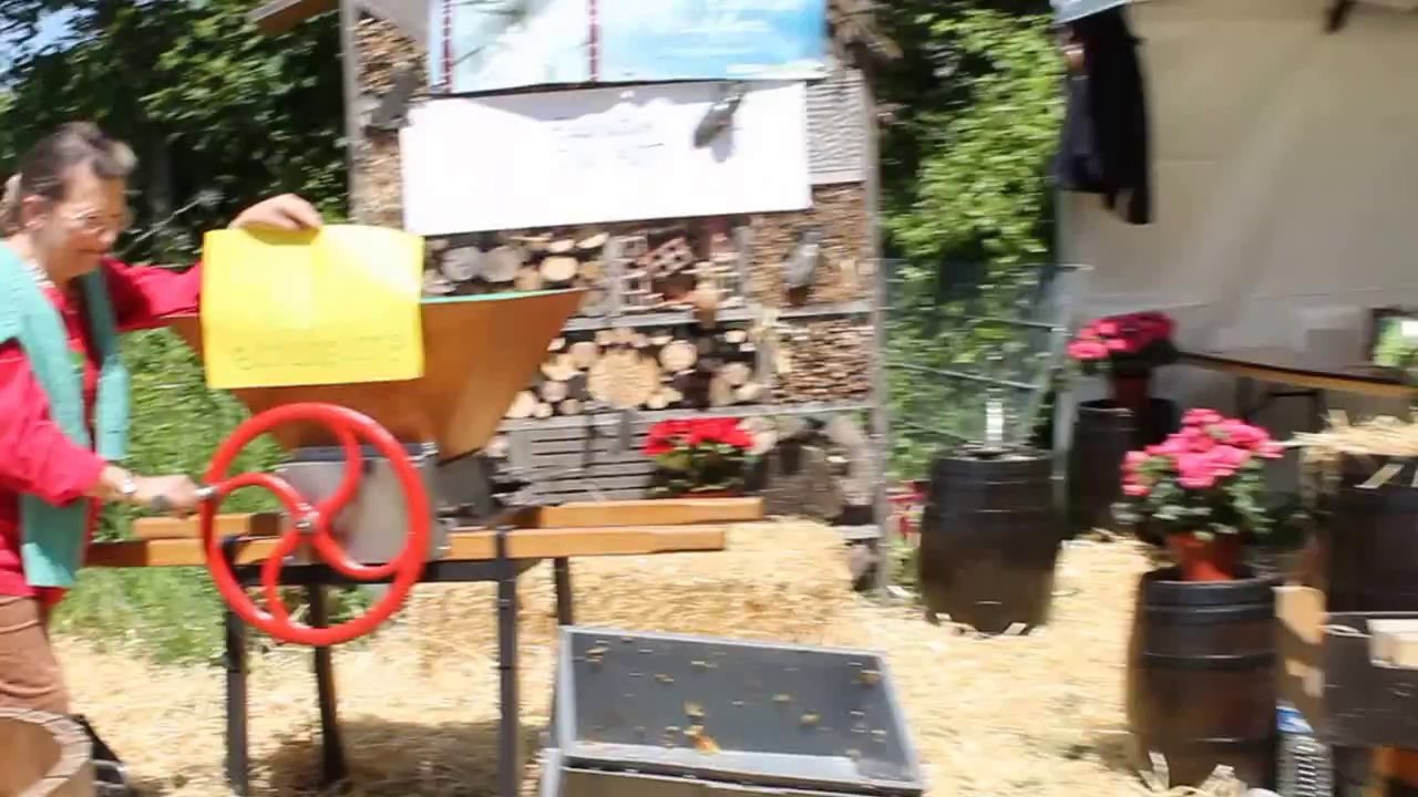 Flash mob 'Donnons vie à l'Europe' Répétition