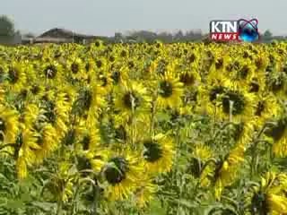 ASEEN MARO LAR JA SONG KTN NEWS EDITOR JAVED DEEDAR ANSARI ( TAKEN FROM SINDH LAAR DOCUMENTRY )