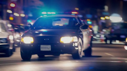 AMAZING STREET HACK for WatchDog