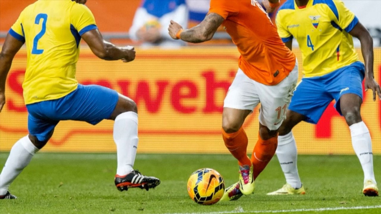 WM 2014: Van Gaal: "Phänomenales Tor“