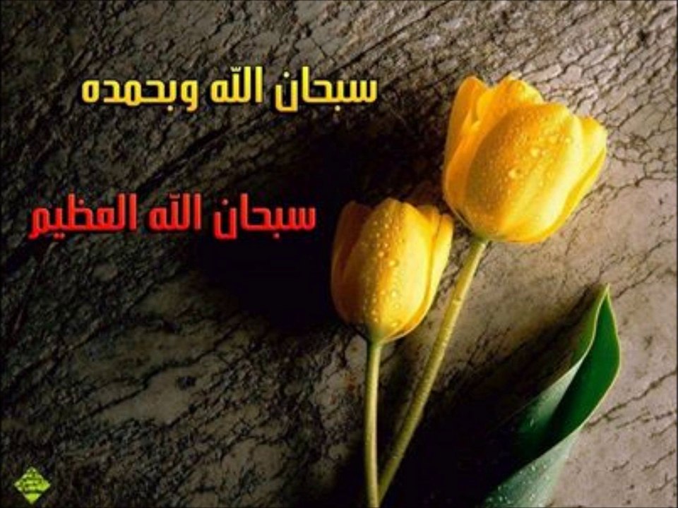 surah al mulk