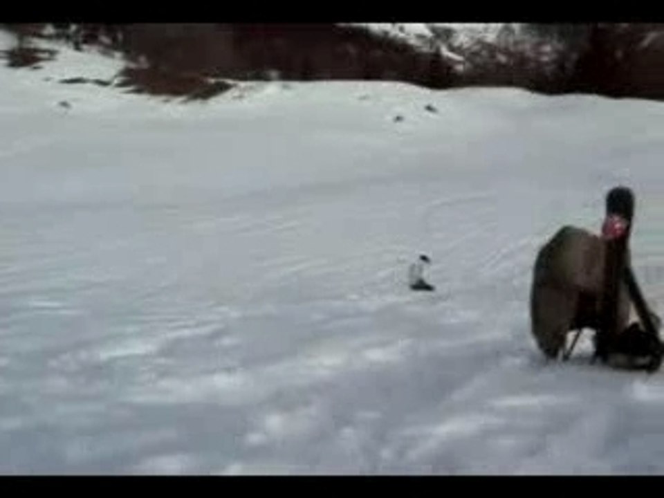 Ski and jumps
