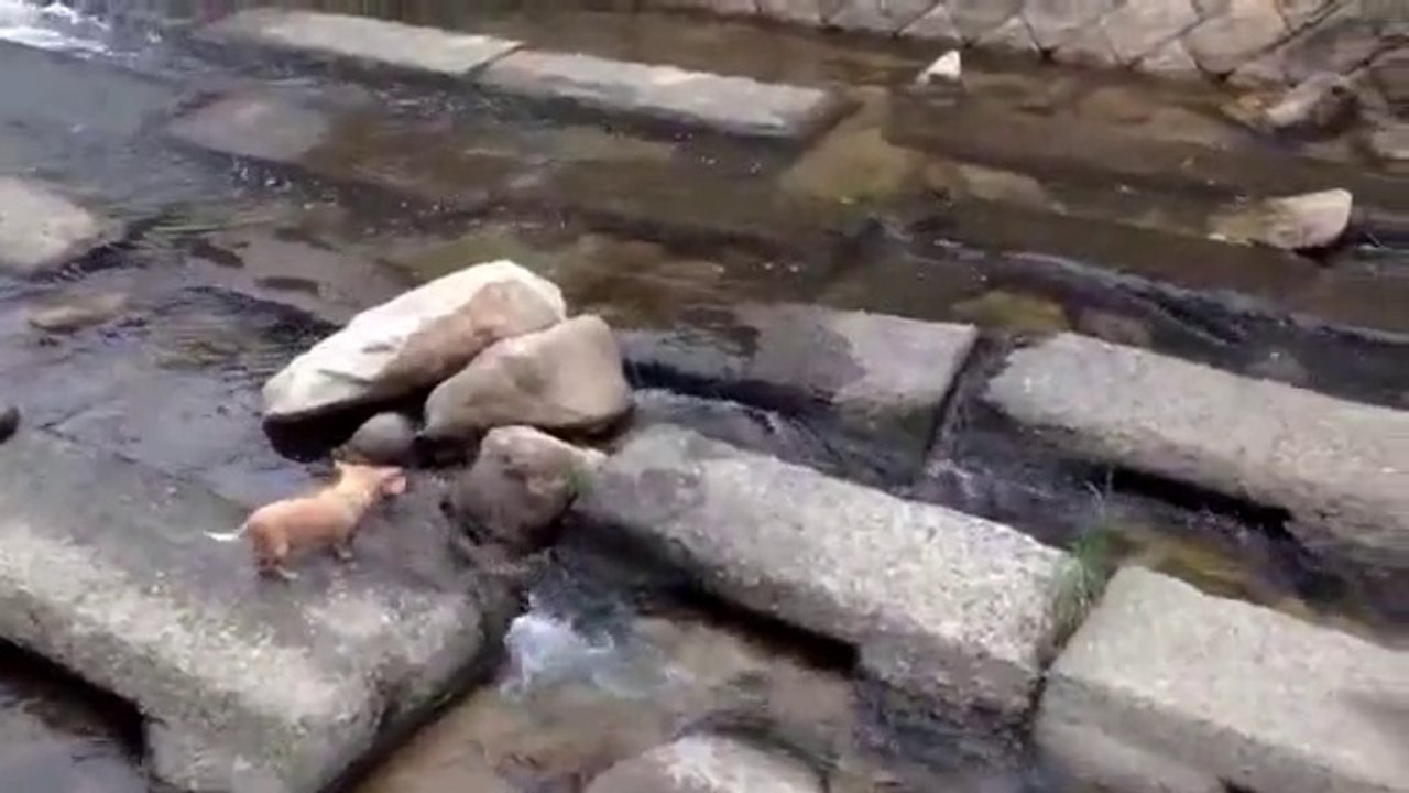 Caught This Guy Playing ByHimself...