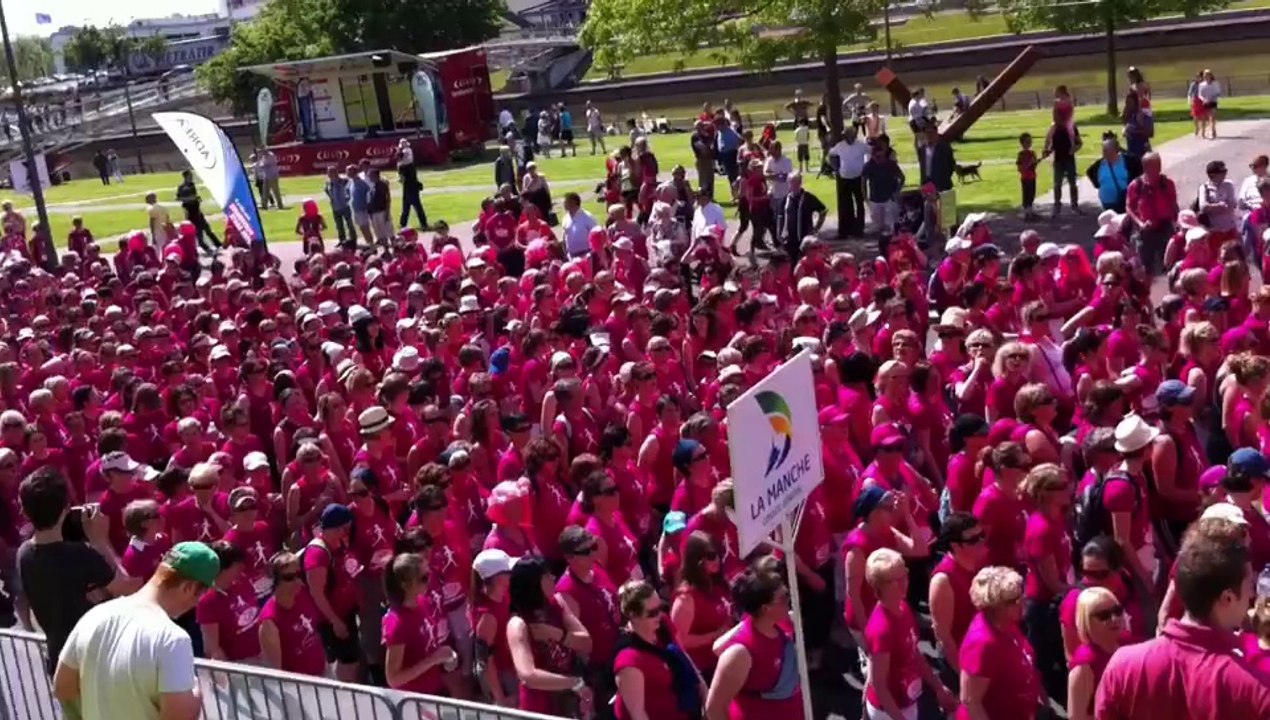 Les Demoiselles de la Manche à Saint-Lo