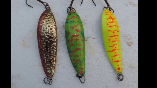 les premieres cuilleres de Salmo trutta 18.5.2014