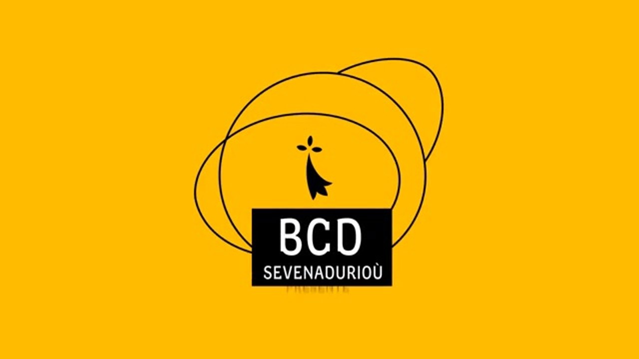 Breton, naissance des dialectes