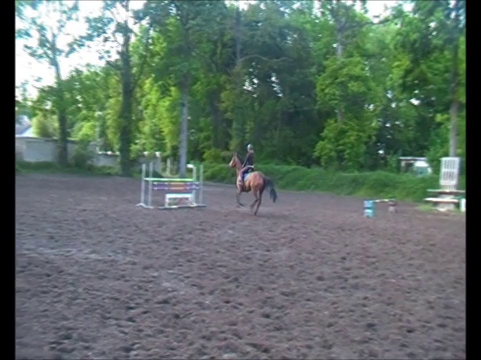 ALZA MOUCHE / NEE EN 2010 / OLYMPIC DE SAVIGNY