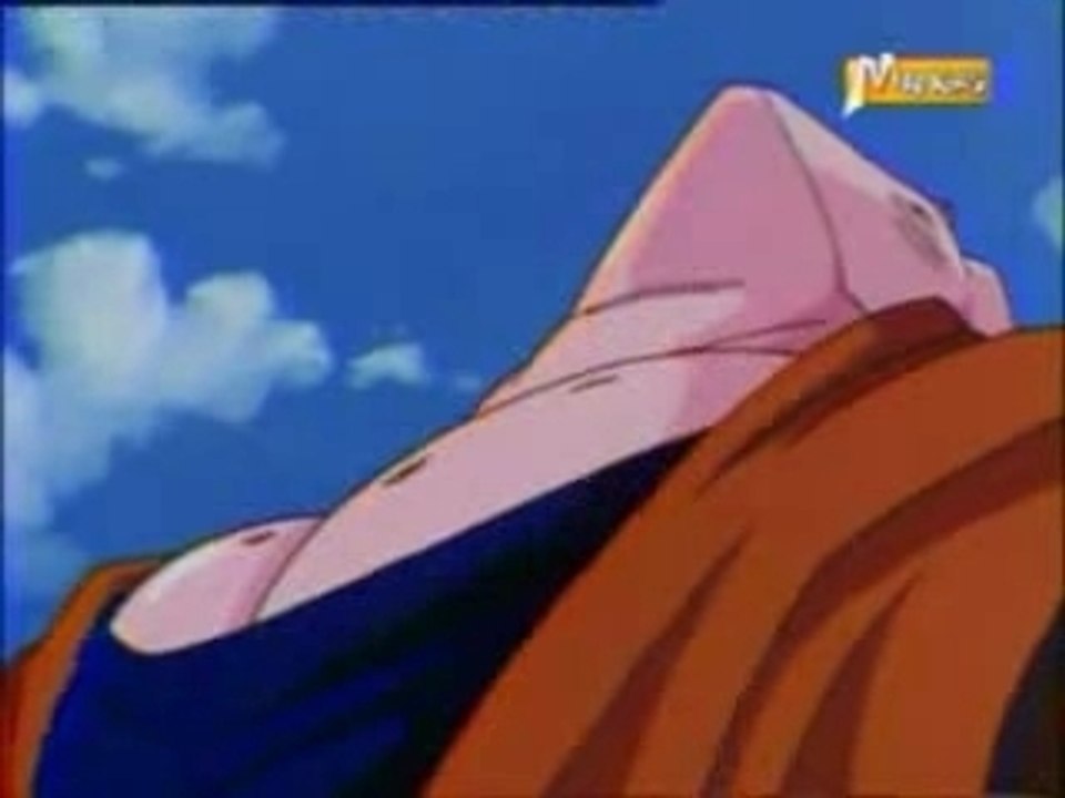 AMV DBZ - Majin Buu VS Vegetto