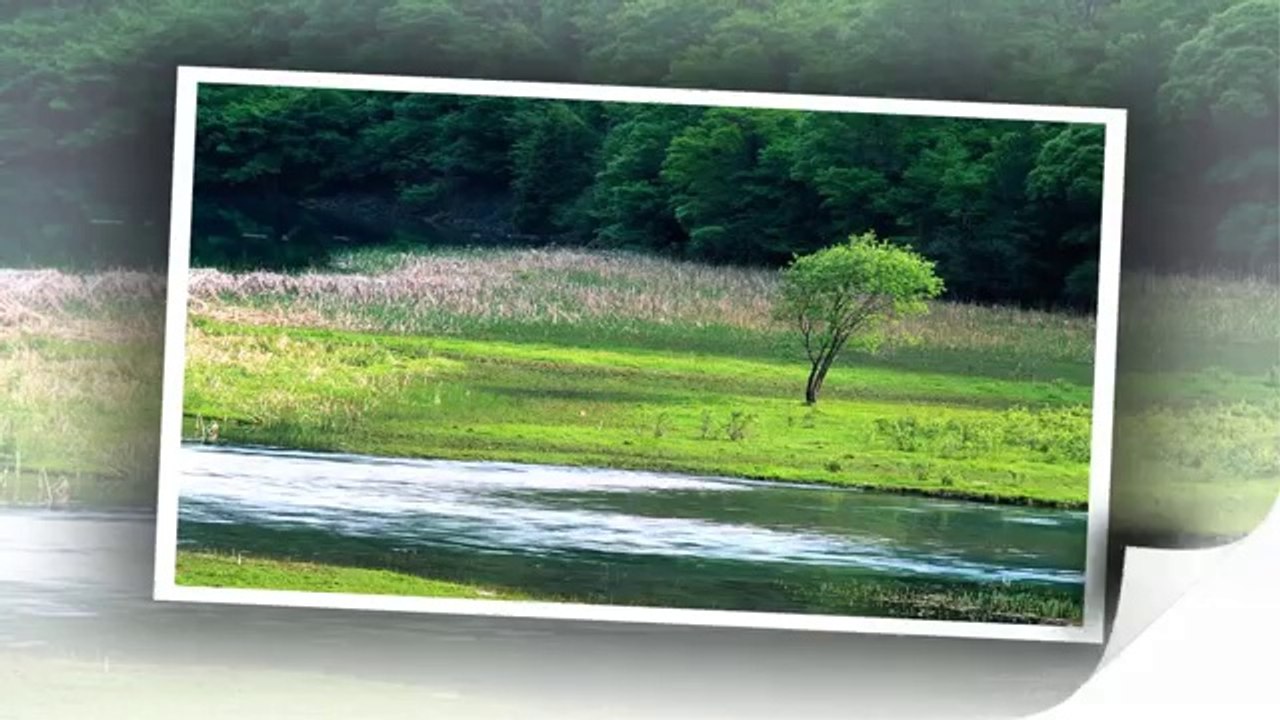 Trk-arkla---Sivas--Sevcan-Orhan--Hacel-Obas