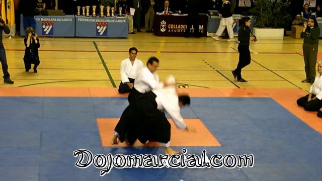 Demostración de aikido - Aikido demonstration - Demonstração de Aikido - Démonstration d'aïkido