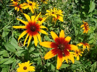 Парк "Феофания", г.Киев