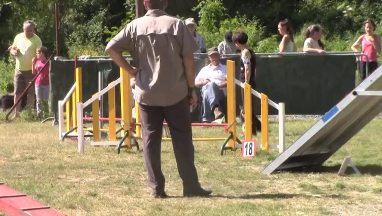 cani balles gpf bours