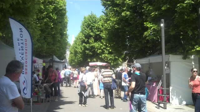 Fleurs de Vignes en fête à Auxerre : l'éducation du nez