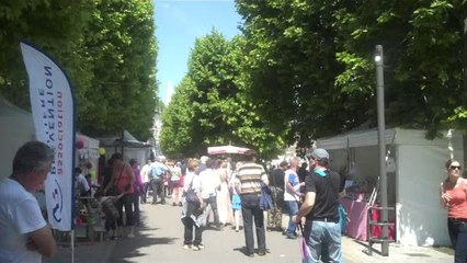 Fleurs de Vignes en fête à Auxerre : l'éducation du nez