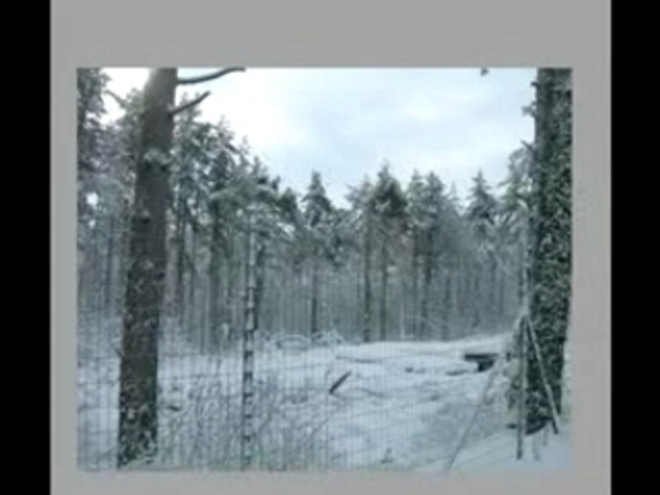 Préservation forêt de la Trouhaude