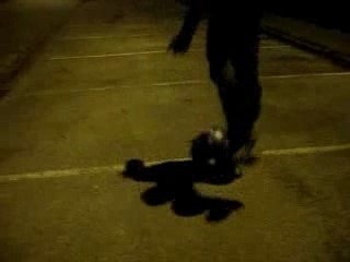 Montage Freestyle foot