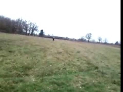 youssef 145 RSR demarage