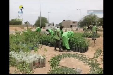 KIOSQUE: LA FONCTION PUBLIC NE PEUX ABSORBER,QUE LES JEUNES DU CLAN DU POUVOIR LES AUTRES N'ONT QU'à SE DEMERDER