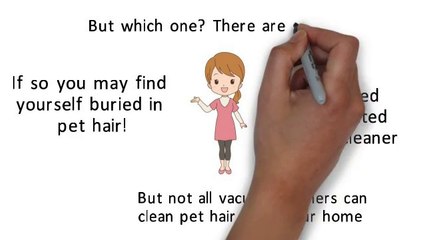 Trying to Find the Top Cleaner for Pet Hair For 2014?