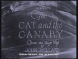 The Cat and The Canary (1927) - Directed by Paul Leni