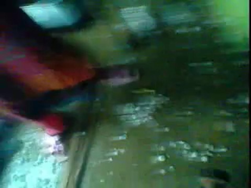 HAVELI LAKHA ARY NEWS HAILING IN CHAK MOUGHAL