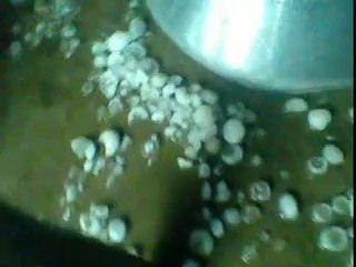 ARY NEWS HAILING IN CHAK MOUGHAL