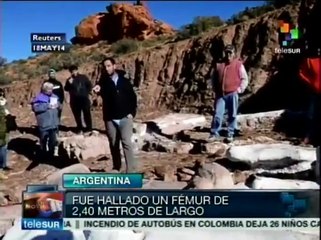 Asombran a científicos los restos del saurópodo hallado en Argentina