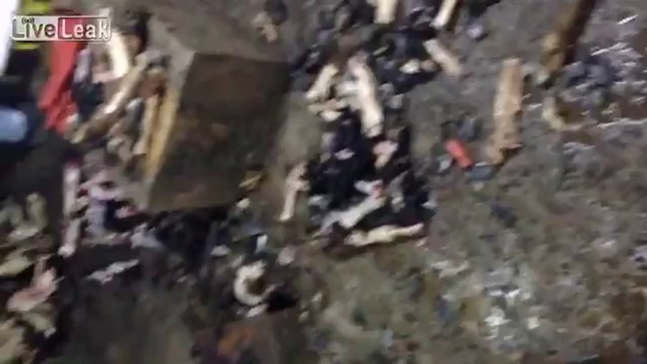 Indian workers selling dogs meat as cow beef got caught in Saudi Arabia - Pakistan TVTV