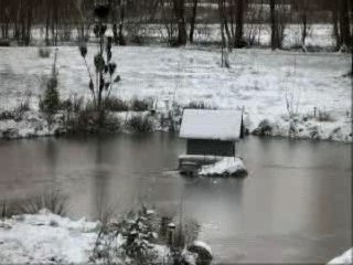 canard qui gueule lol