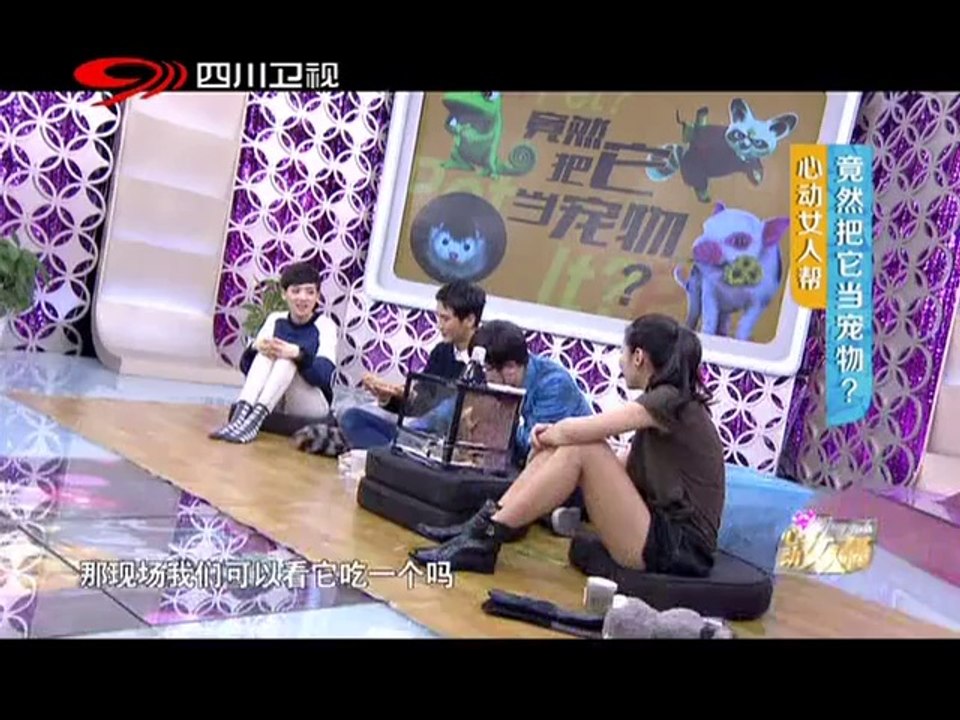 20140518 心动女人帮 另类宠物 竟然把它当宠物