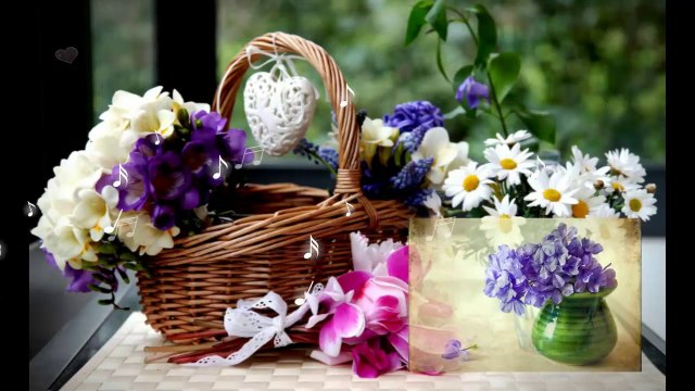 Good morning! Have a nıce day!...(music Ernesto Cortazar)... ...