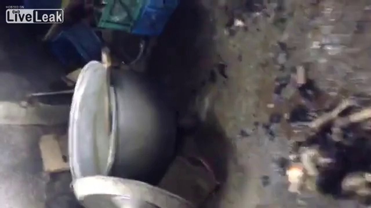 Indian Workers Selling Dog’s meat