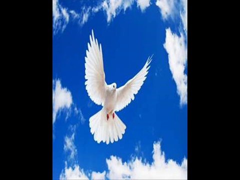 Kabooter ki legs par danay (Zahr bad) Elaj by Dr.Ashraf Sahibzada