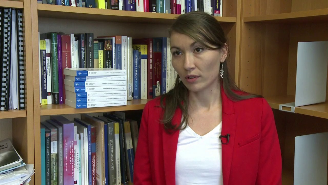 Europawahl 2014: So funktioniert das EU-Parlament