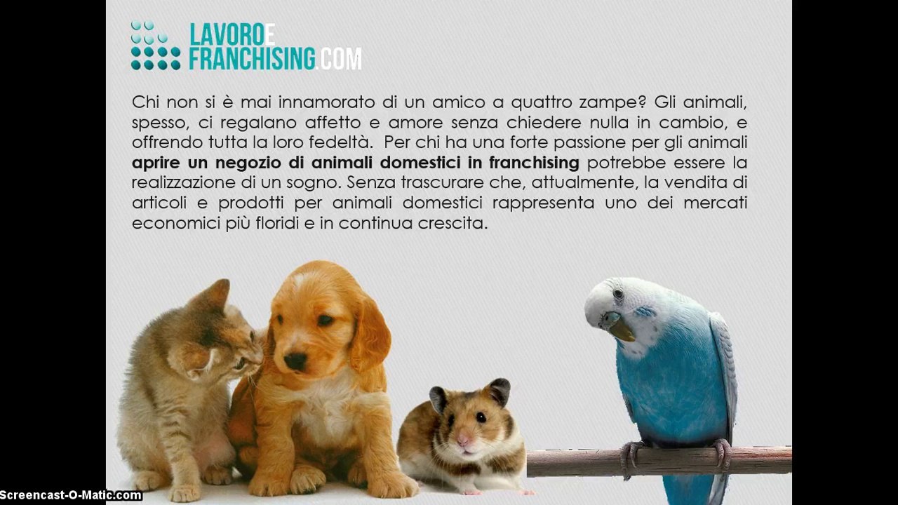 Franchising Animali domestici, apri il tuo negozio di animali o di alimenti e prodotti per animali