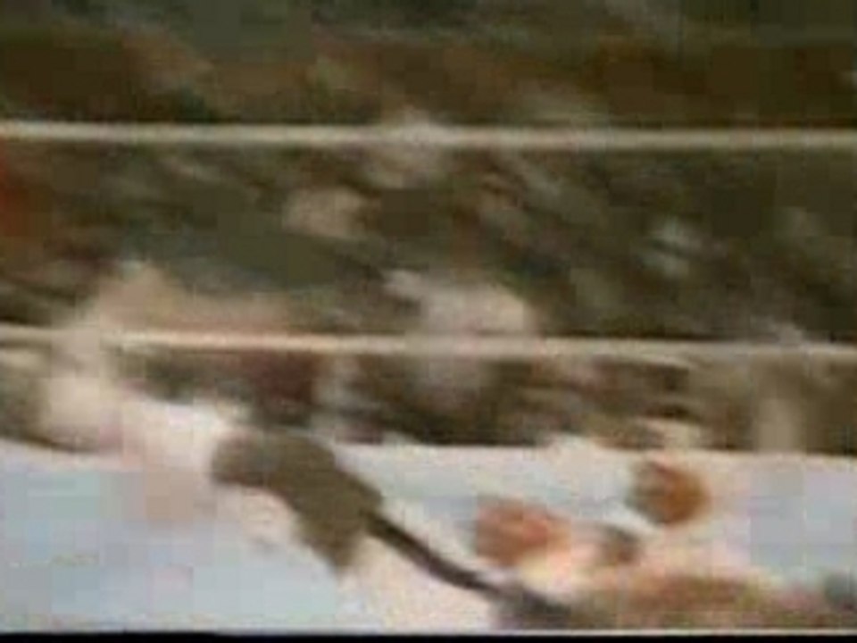 Faces of death - Mike Tyson beatings