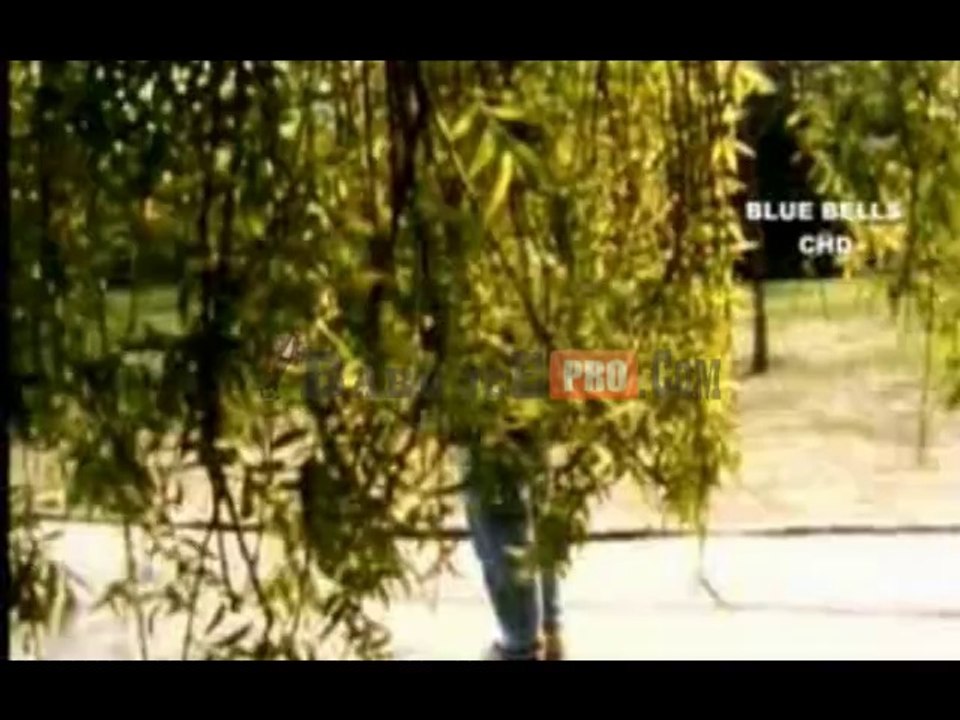 Babu Jee Camera