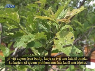 Selo moje, 18. maj 2014.