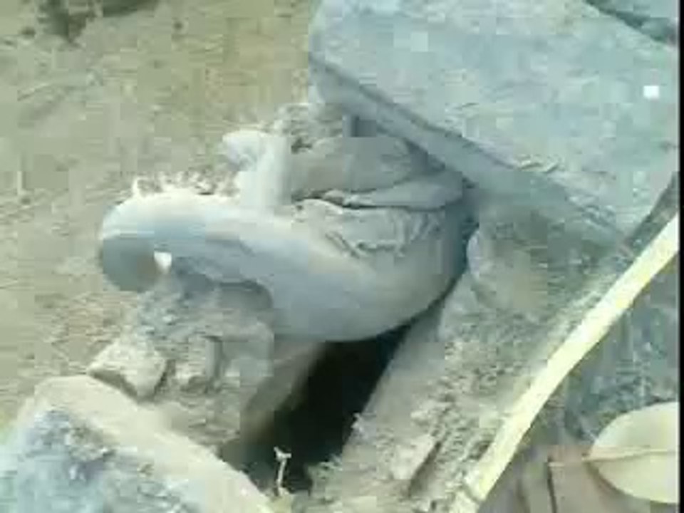 big lizard