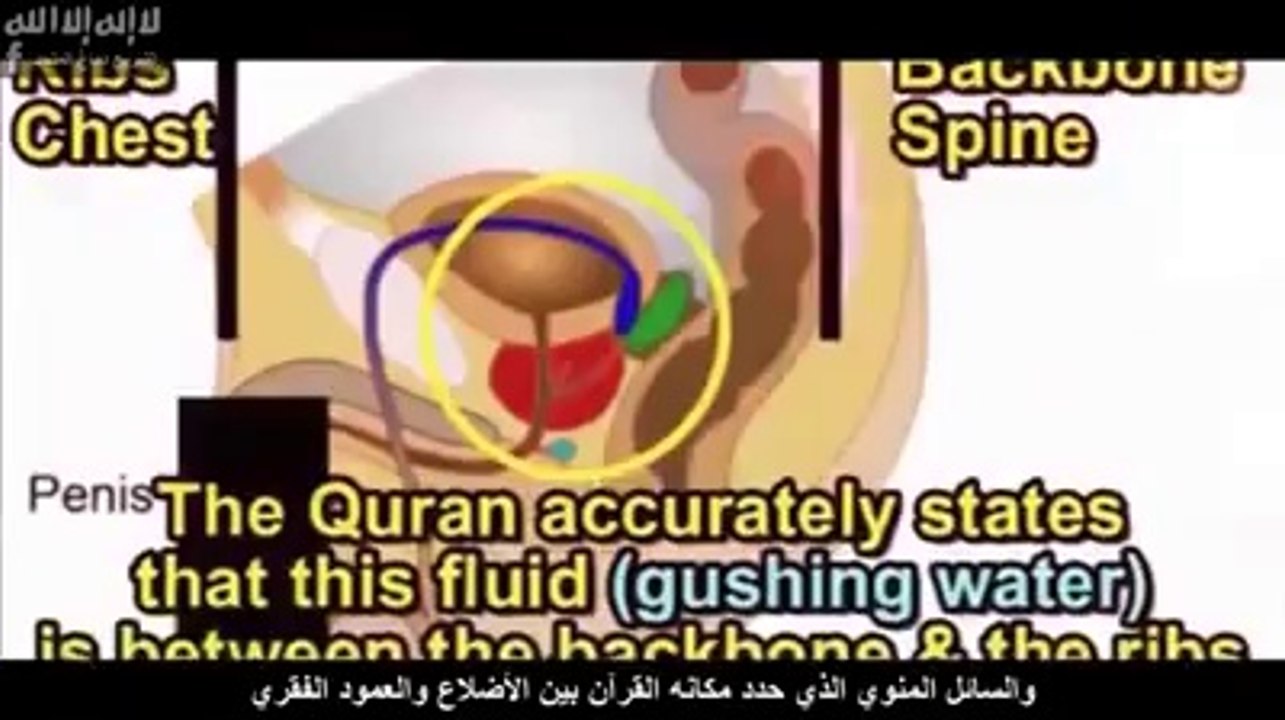 www.islamway.fr.mu  the fate