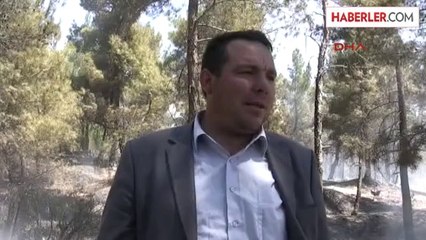 Piknikçi Ateşi Ormanı Yaktı, Büyümeden Söndürüldü