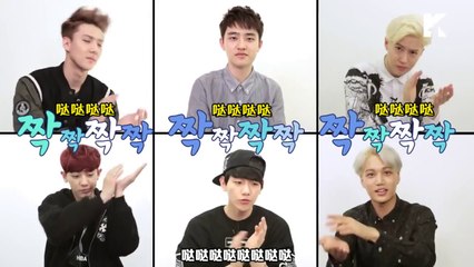 [中字] 140515 EXO-K @ ASK IN A BOX -version 2