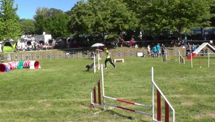 Hey Ma Ma Mia sélectif Trophée Cibiens M1