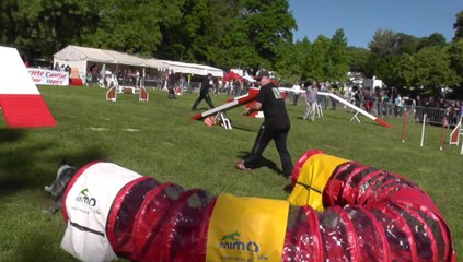 Daisy Sélectif Trophée Cibiens M1